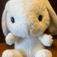 動物ぬいぐるみの画像