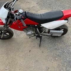 xr50cc エンジンかかりますの画像