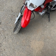 xr50cc エンジンかかりますの画像