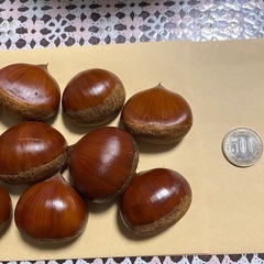栗12個の画像