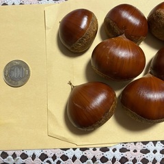 栗12個の画像