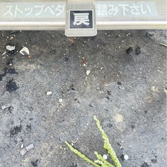 直接引き取り限定 ストップペダル付き　ストッパー付き　
作業用踏み台 キャスター付き ローリングラダー 手すり付き スチール製 3段式 台車 手押し ハンドトラックの画像