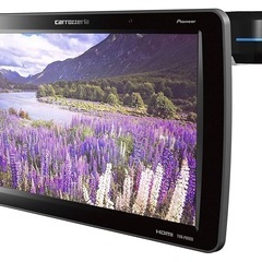 Pioneer プライベートモニター TVM-PW920 9インチ WVGA LOWポジションタイプ カロッツェリアの画像