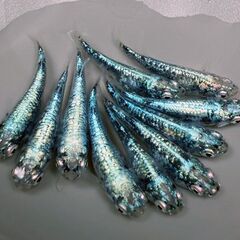 🎏現物🎏★レックウザ★５ペア★雄♂５匹★雌♀５匹★計10匹🎏の画像