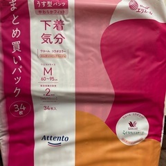 介護　オムツ　大人用　女性向きの画像