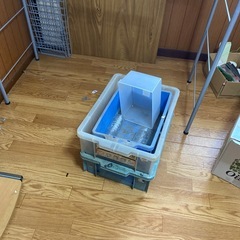 28日限定引き取り　の画像