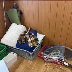 28日限定引き取り　の画像