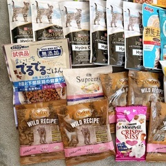 猫用品の画像
