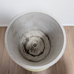鉢　植木鉢　9号　観葉植物　の画像