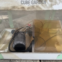 水槽60cm
の画像