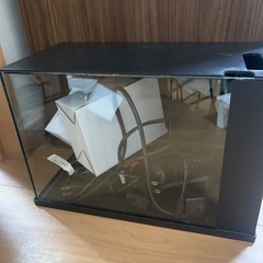 水槽の画像