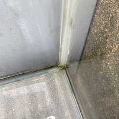 水槽 5個セットGEX 金魚 メダカの画像
