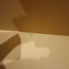 大容量の段ボール　１箱と緩衝材の画像
