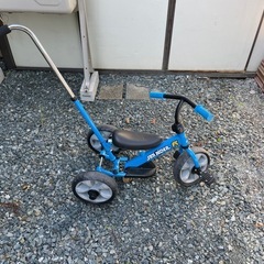 サンライダーの画像