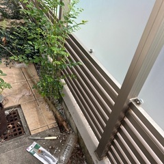 急募　生命力強い木欲しい人
の画像