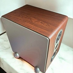 CAV SW260本体の画像