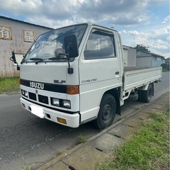 いすダエルフ 1.5tディーゼルMTの画像