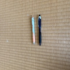 ボールペン　黒　2本の画像
