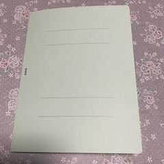 フラットファイル　未使用　薄型の画像