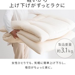 アイリスプラザ マットレス敷布団の画像