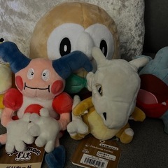 ポケモン ぬいぐるみ 5体セット
の画像