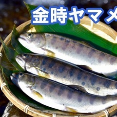 中型免許取得支援あり！自然の中で働く！！スタッフ募集（正社員）の画像
