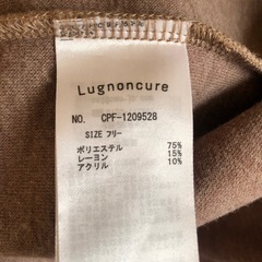 Lungnoncureジャケットの画像