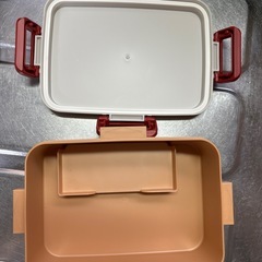 ひたちの画像