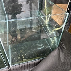 水槽 ジャンクの画像