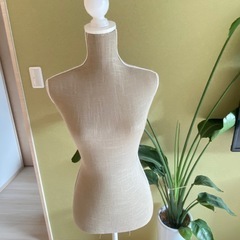 トルソー　マネキン　CORPO コルポの画像
