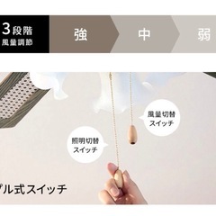 シーリングライト　ブラウン　リバーシブルの画像