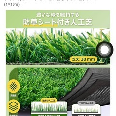 人工芝1m×約4mの画像