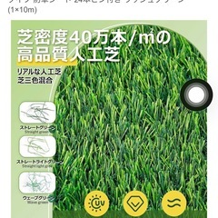 人工芝1m×約4mの画像