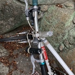 自転車　の画像
