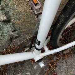 自転車　の画像