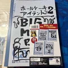 尾田栄一郎 ネタ帳風 設定ノート HELLO ONE PIECE 17冊セットの画像