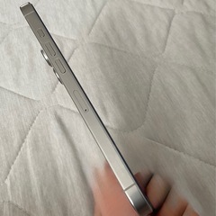 iPhone16promax 256GB　ホワイトチタニウム  の画像