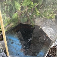水槽 高さ1.6Mくらいの画像