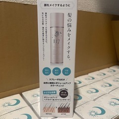白髪染め　ヘアスプレー　箱売り　販促　48本×3箱　新品未使用　　の画像
