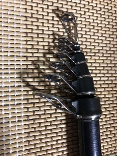 釣り竿DAIWA  タマンモンスター
