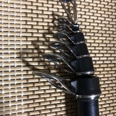 釣り竿DAIWA  タマンモンスターの画像