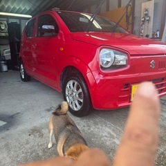 車検令和9年9月6日の画像