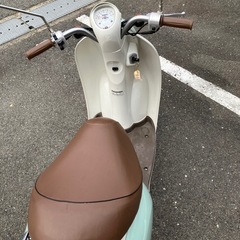 原付　ホンダ　スクーピーの画像