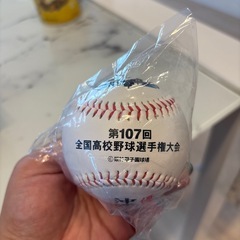 沖縄尚学　甲子園　優勝ボールの画像