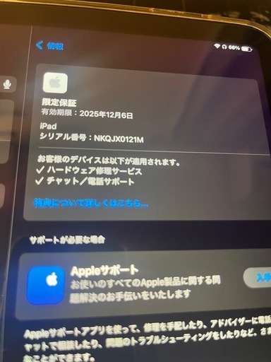 【美品】iPad10世代 64GB  ブルー  