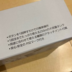 ハンディスチーマー　新品の画像