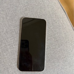 iPhone13ProMax (256GB)の画像
