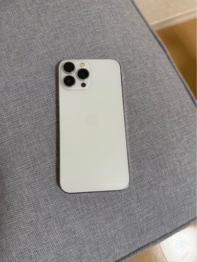 iPhone iPhone13ProMax (256GB)