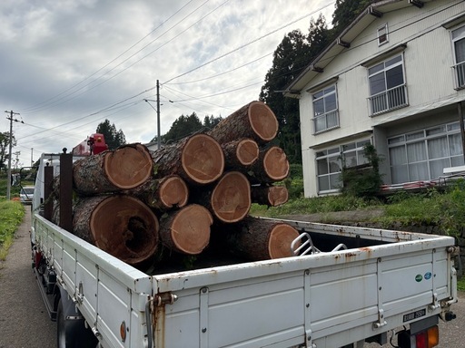 ※薪の原木売ります※