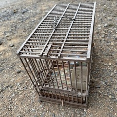 鳥かご 竹かごの画像